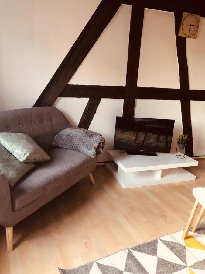 Le Petit Colmarien Hyper-Centre Apartment Bagian luar foto